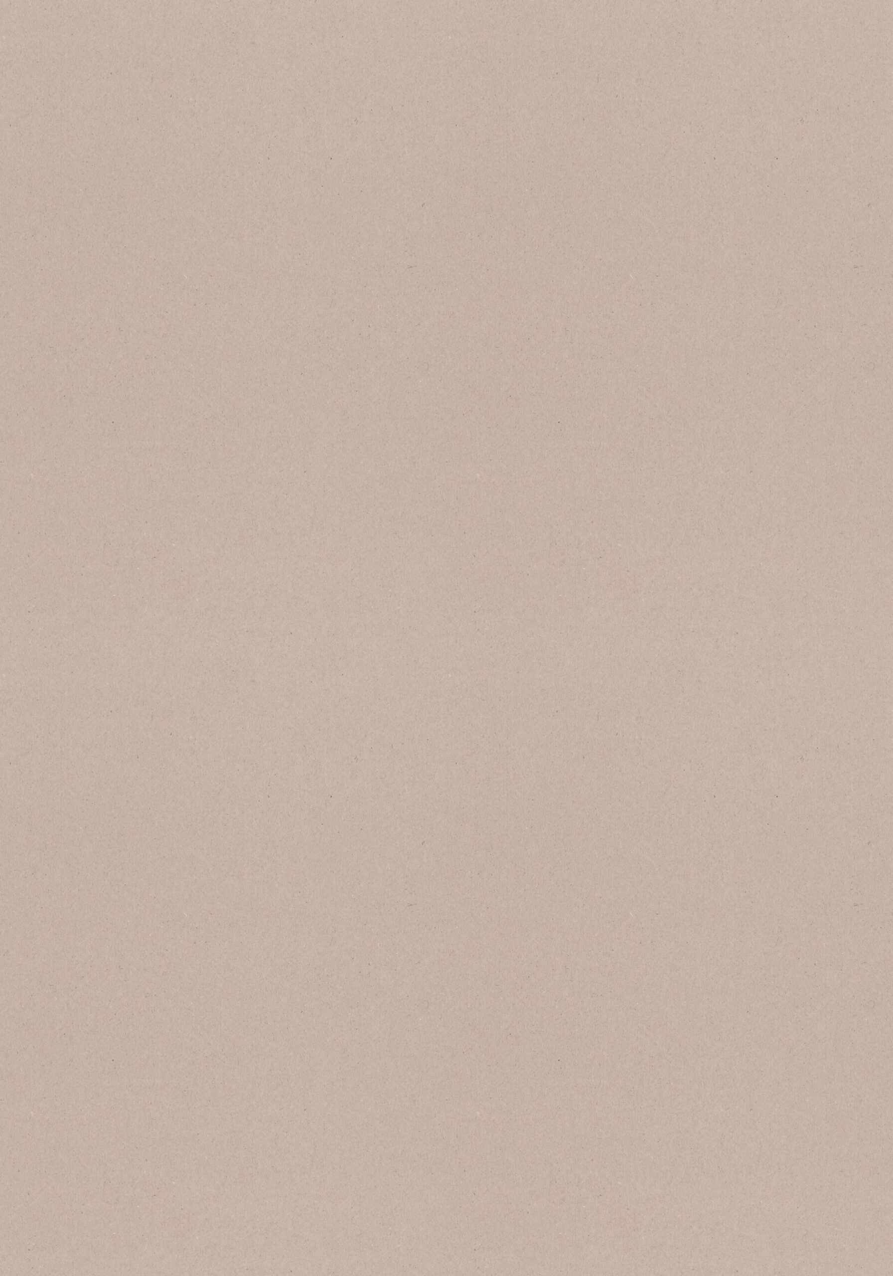 Pellestrina Beige Terrazzo view 2