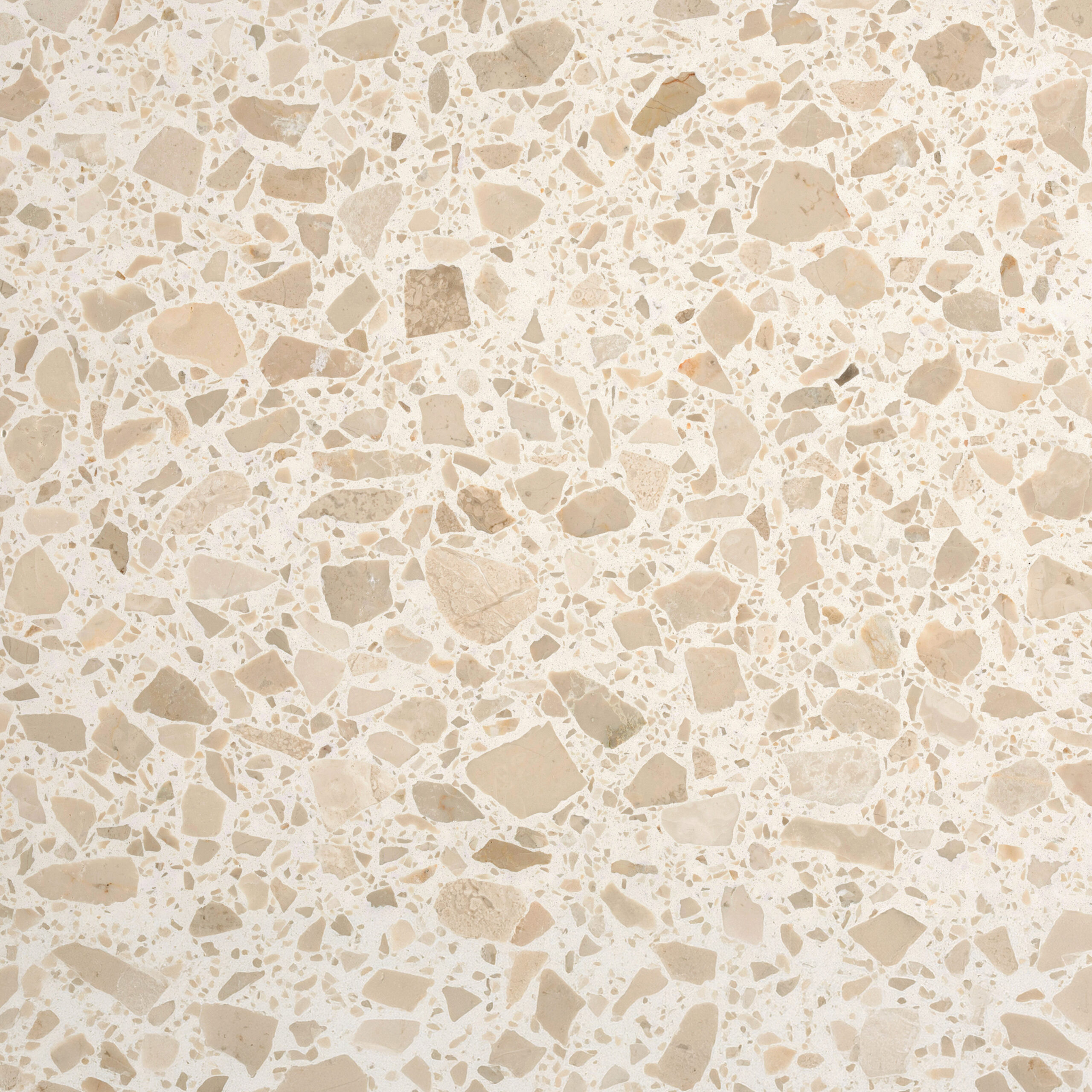 Botticino Pure Large Chip Terrazzo view 4