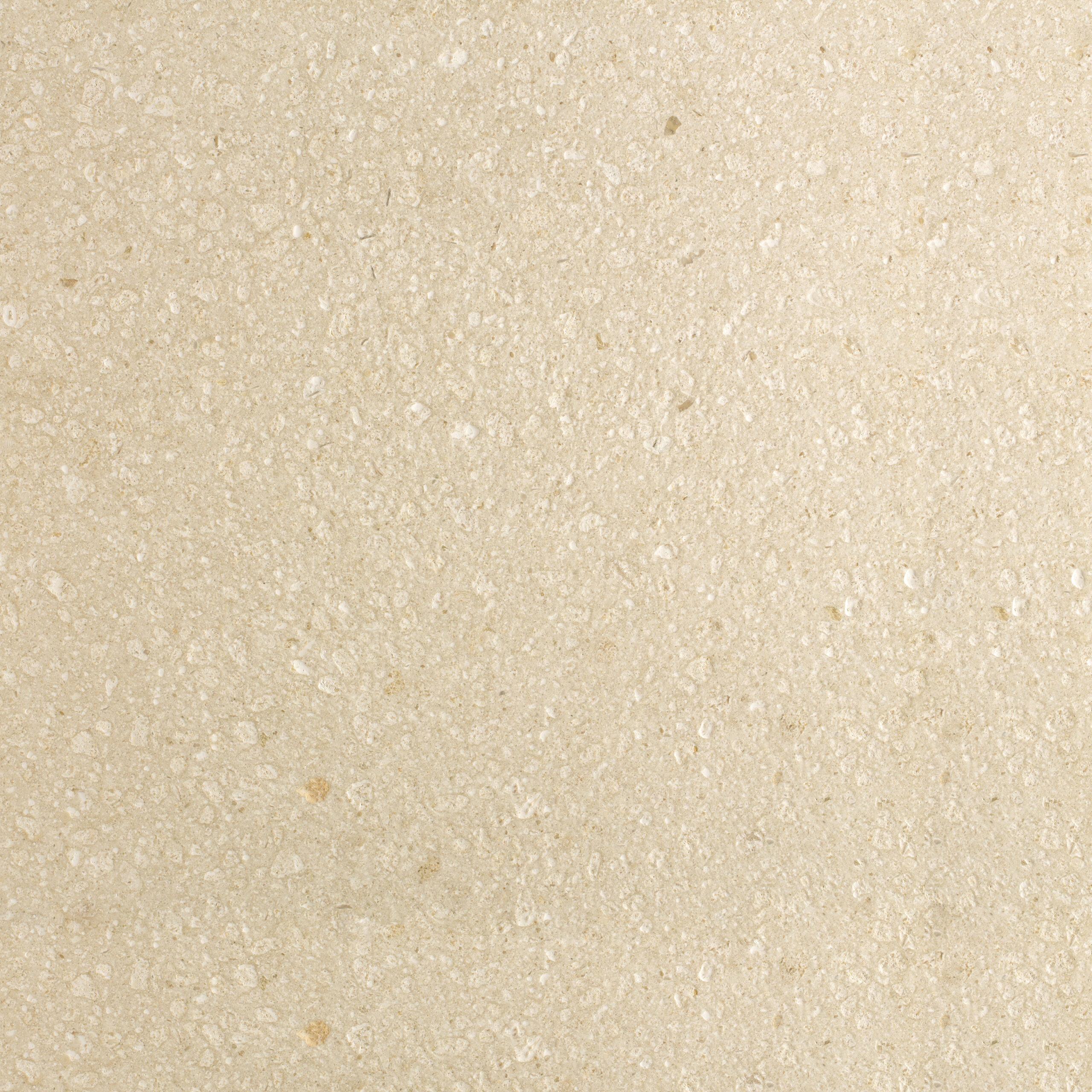 Aggloceppo Light Grey Large Chip Terrazzo view 3