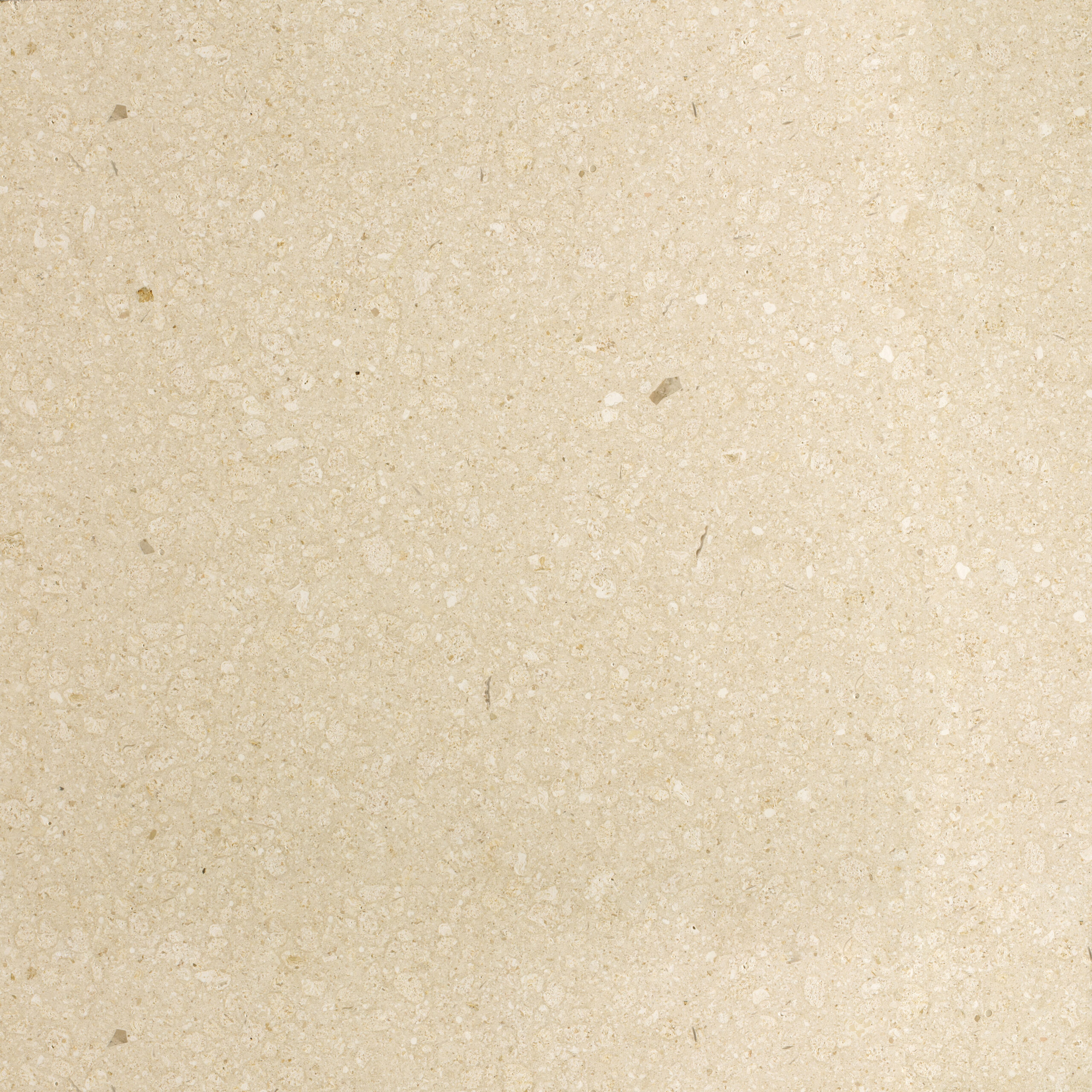 Aggloceppo Light Grey Large Chip Terrazzo view 4